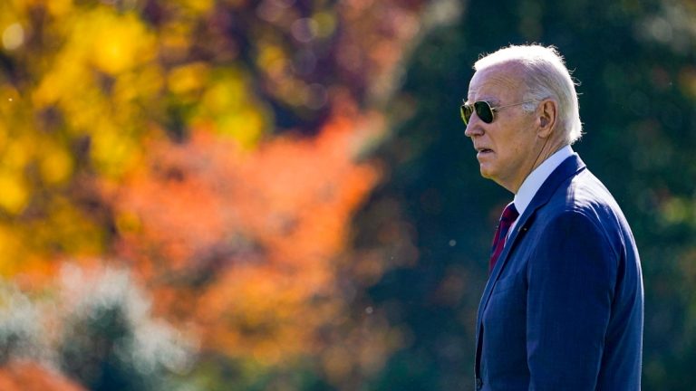 Biden supporters’ Recent Hampshire write-in marketing campaign risks underscoring the president’s vulnerability