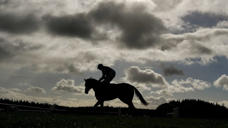 Man Arrested on Arson Price After Fire Kills over 24 Horses at Tioga Downs Racetrack