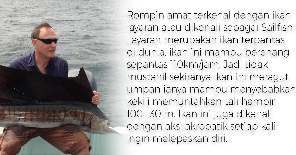 Ikan Layaran Kuala Rompin Pahang – Menarik Di Rompin