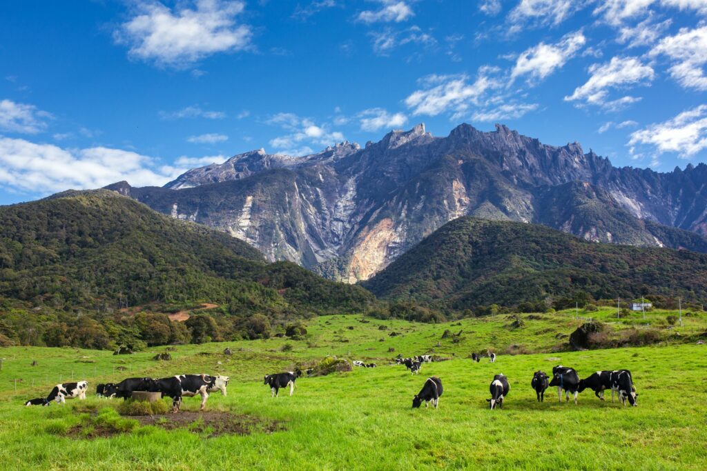 11 Tempat Menarik Di Kundasang Yang Anda Mesti Pergi! » Daeng Lunge & Tours