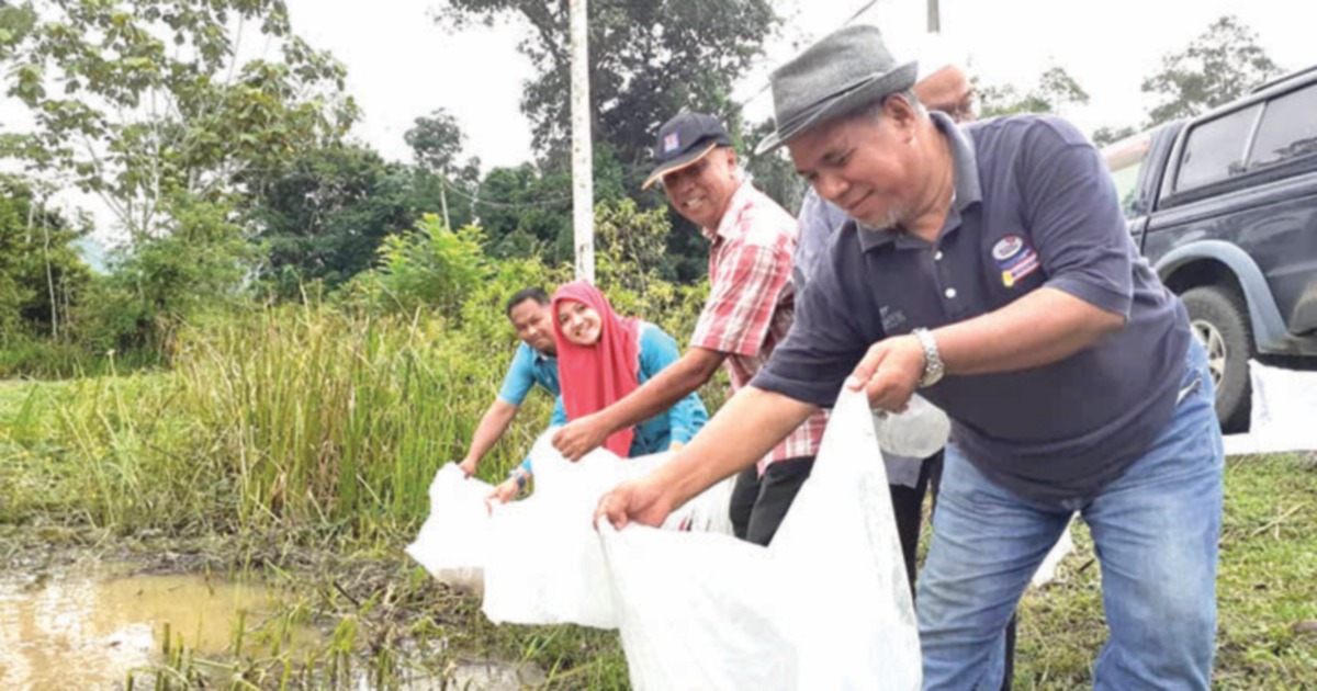 Estet ikan tambah pendapatan