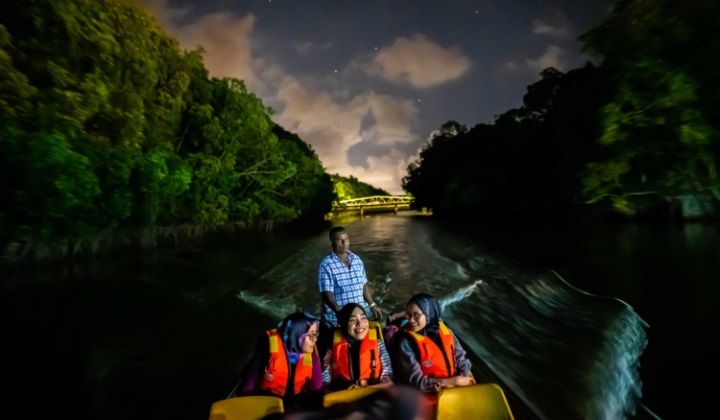 The Firefly Whisperer Of Sungai Cherating, Pahang | TRP